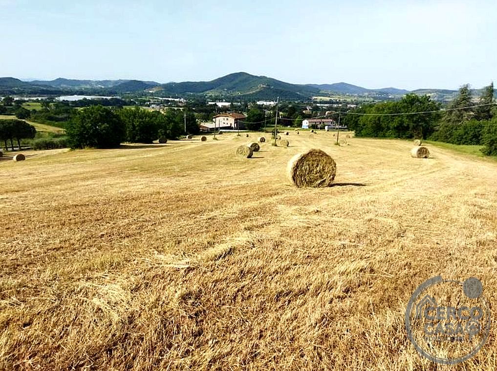 AZIENDA AGRICOLA VENDITA MAGIONE · foto 23