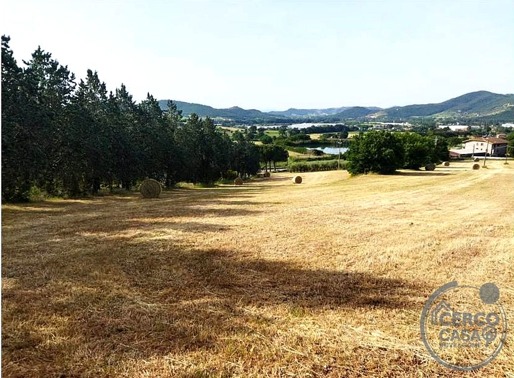 AZIENDA AGRICOLA VENDITA MAGIONE · foto 25