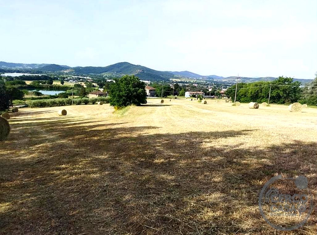 AZIENDA AGRICOLA VENDITA MAGIONE · foto 26