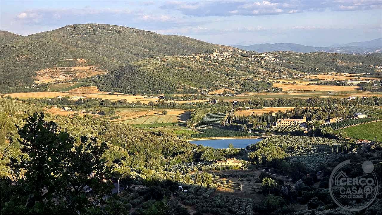 AZIENDA AGRICOLA VENDITA MAGIONE · foto 31