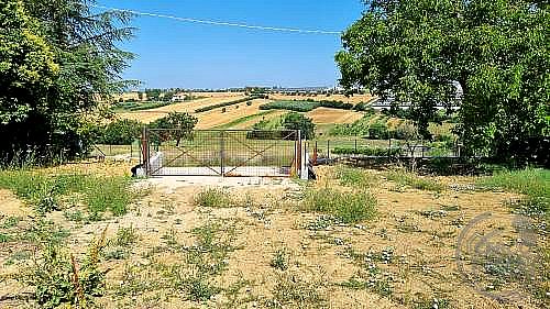 MAGAZZINO VENDITA PERUGIA · foto 6