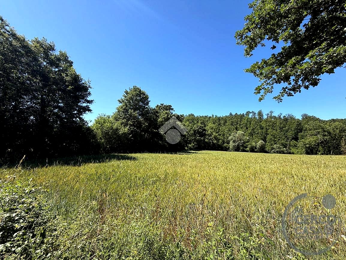 TERRENO AGRICOLO VENDITA MONTECASTRILLI