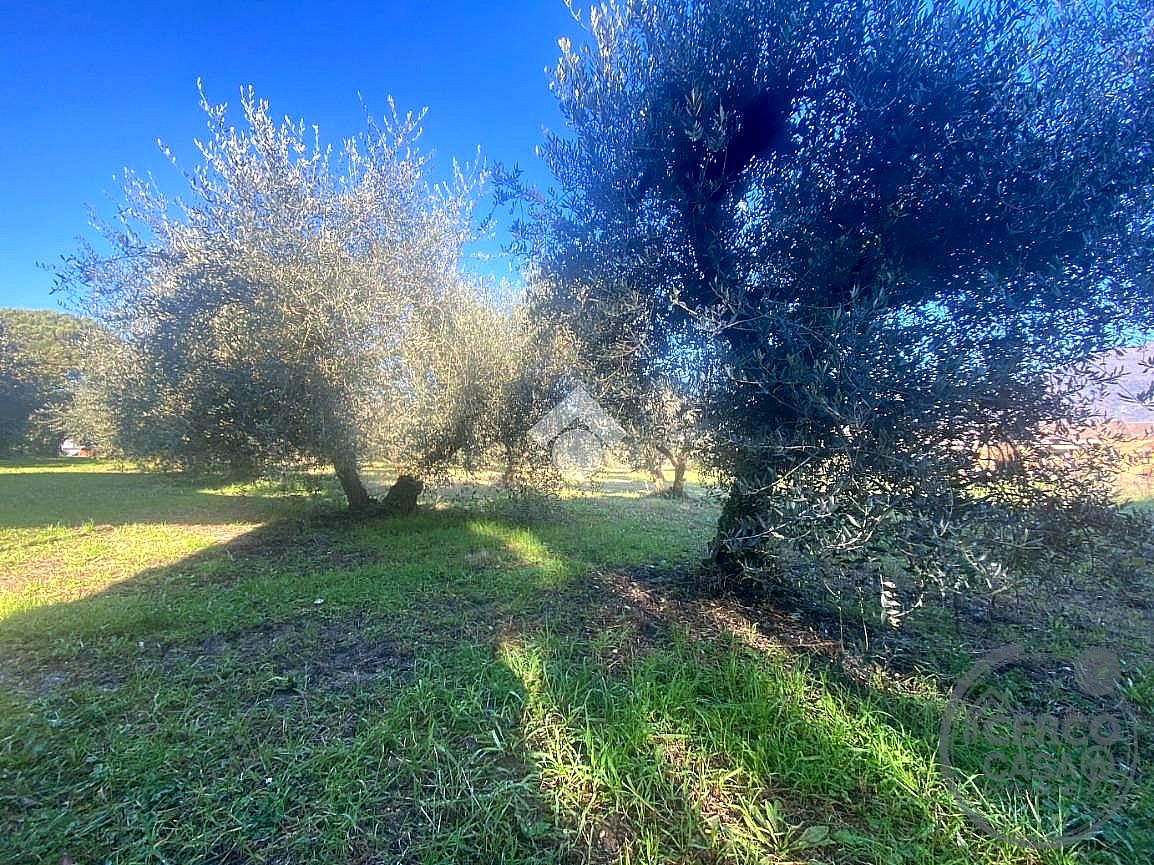 RUSTICO - CASALE VENDITA ACQUASPARTA · foto 5