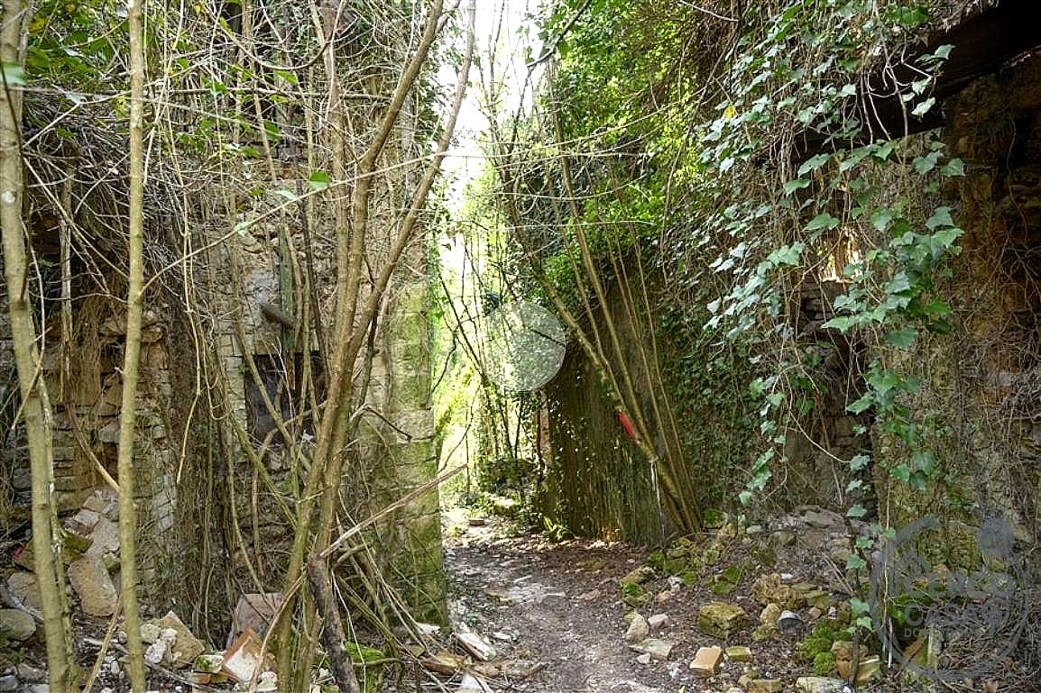 TERRENO AGRICOLO VENDITA TERNI VALSERRA · foto 2