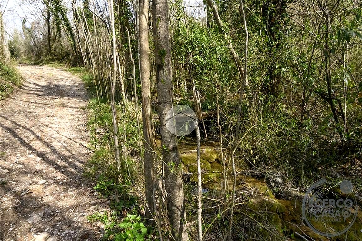 TERRENO AGRICOLO VENDITA TERNI VALSERRA · foto 3