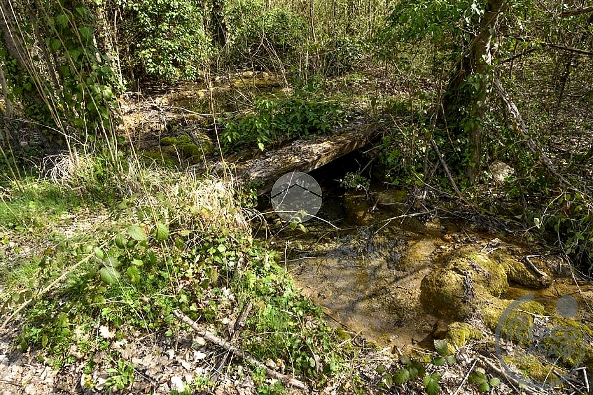 TERRENO AGRICOLO VENDITA TERNI VALSERRA · foto 4