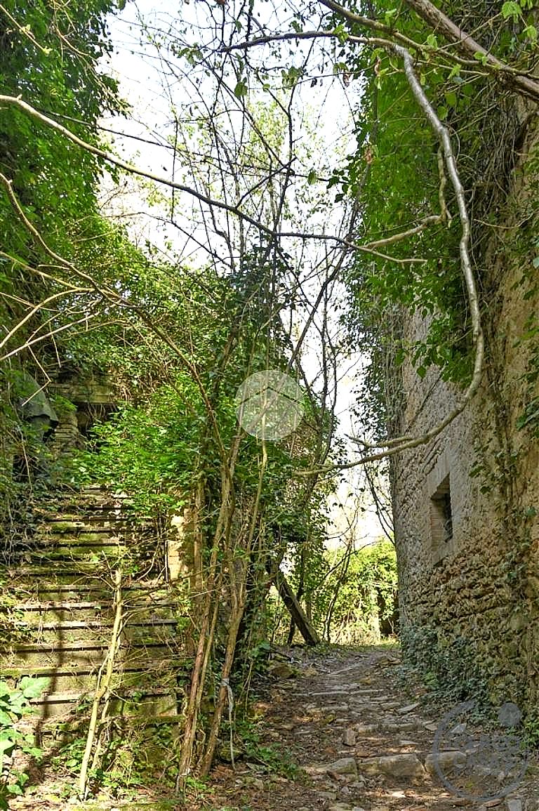 TERRENO AGRICOLO VENDITA TERNI VALSERRA · foto 5