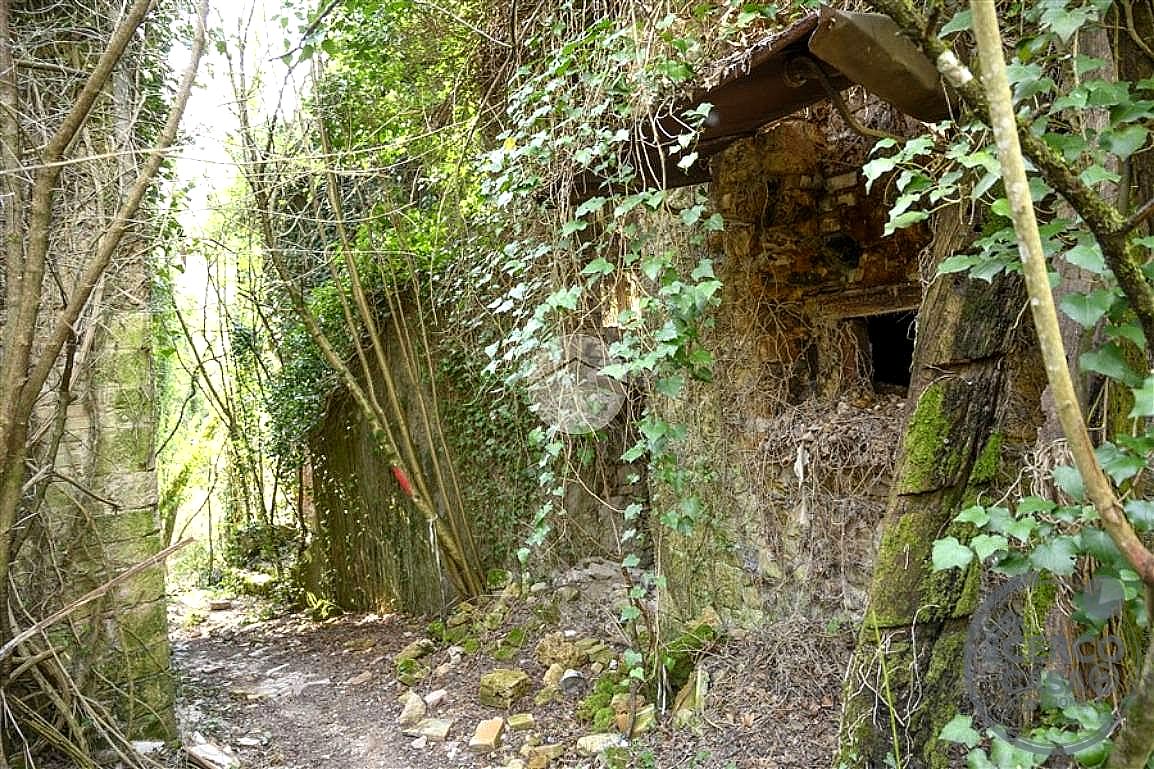 TERRENO AGRICOLO VENDITA TERNI VALSERRA · foto 6