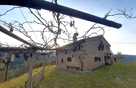 RUSTICO - CASALE VENDITA GUALDO CATTANEO · foto 33