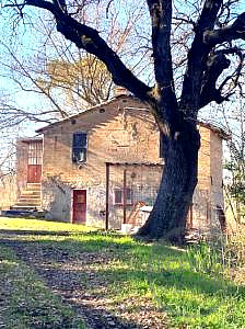 RUSTICO - CASALE VENDITA GUALDO CATTANEO · foto 35