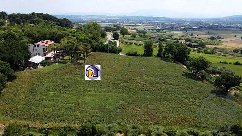 RUSTICO - CASALE VENDITA GUALDO CATTANEO · foto 36