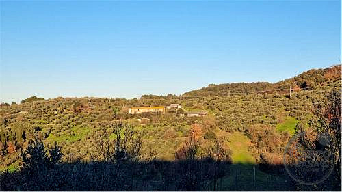 RUSTICO - CASALE VENDITA GUALDO CATTANEO · foto 40