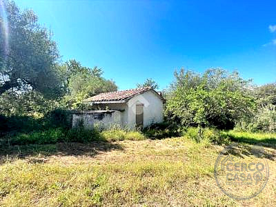 CASA INDIPENDENTE VENDITA SAN VENANZO · foto 25