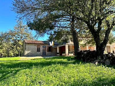 PORZIONE DI CASA VENDITA ASSISI · foto 37