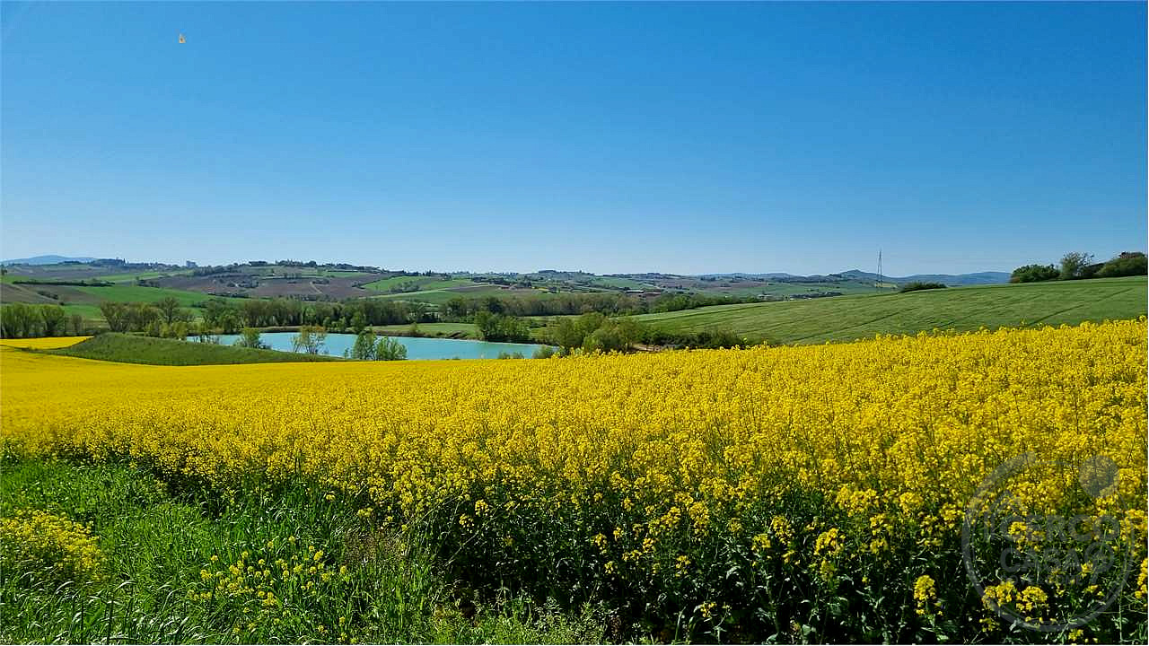 Marsciano casale da ristrutturare collinare panoramico