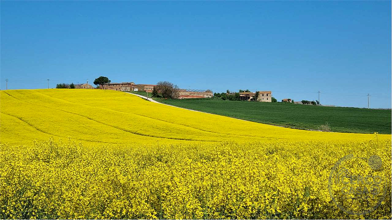 Marsciano casale da ristrutturare collinare panoramico