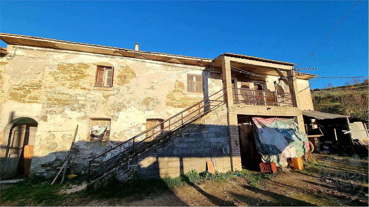 Torgiano Casale panoramico con 900 olivi
