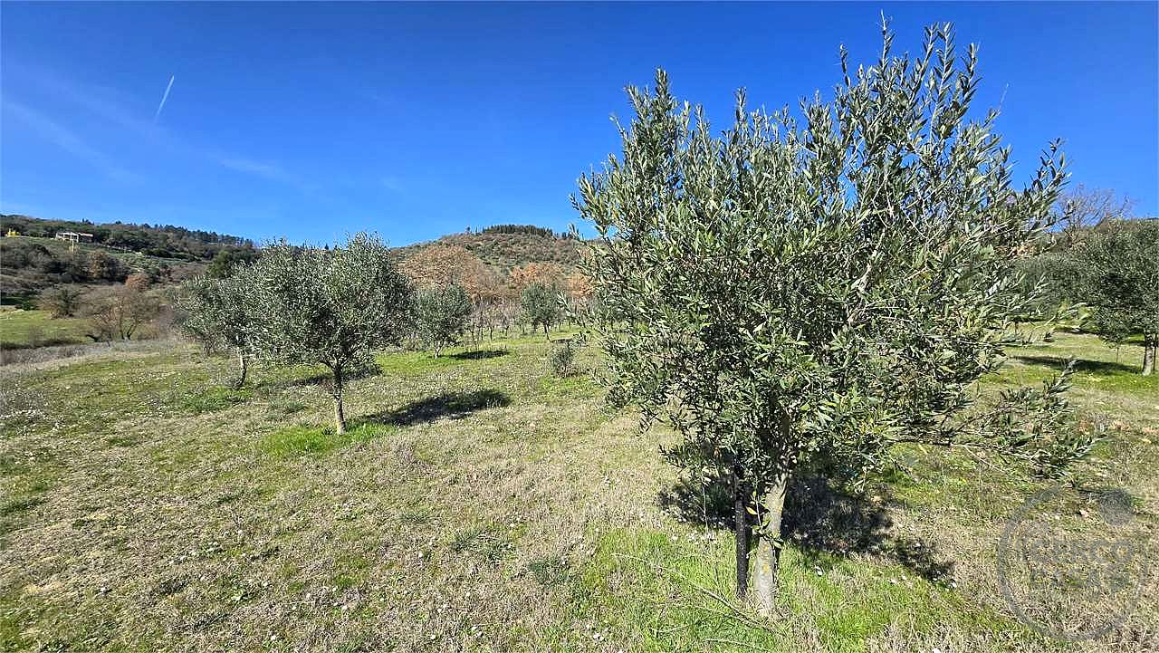 Vendesi terreno edificabile Soccorso Magione
