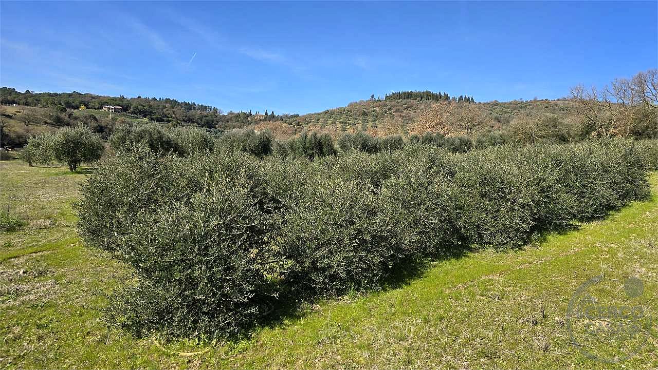 Vendesi terreno edificabile Soccorso Magione