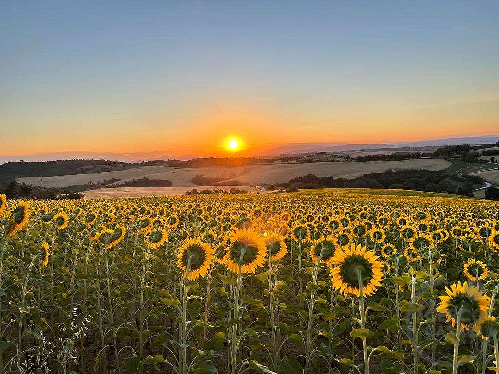 Vendita Azienda Agraria di prestigio Perugia 258 ettari