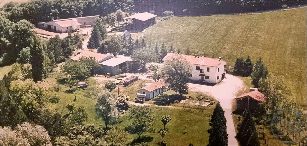 Azienda agraria 96 ettari con casale e capannoni