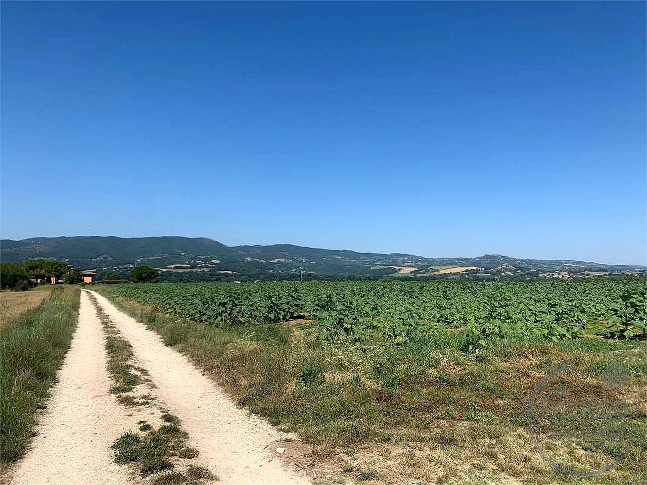 Terreno edificabile con vista panoramica su Todi
