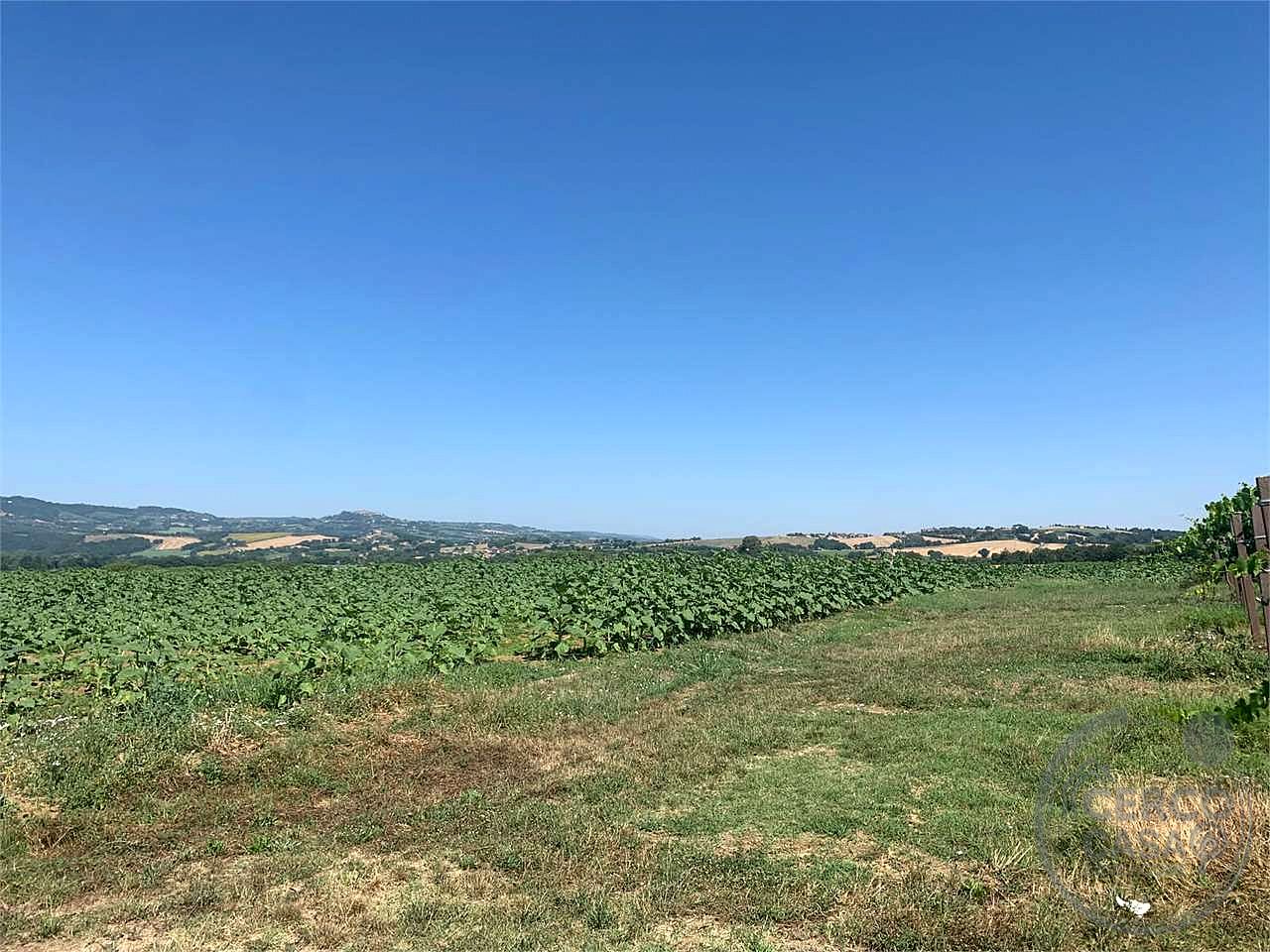 Terreno edificabile con vista panoramica su Todi