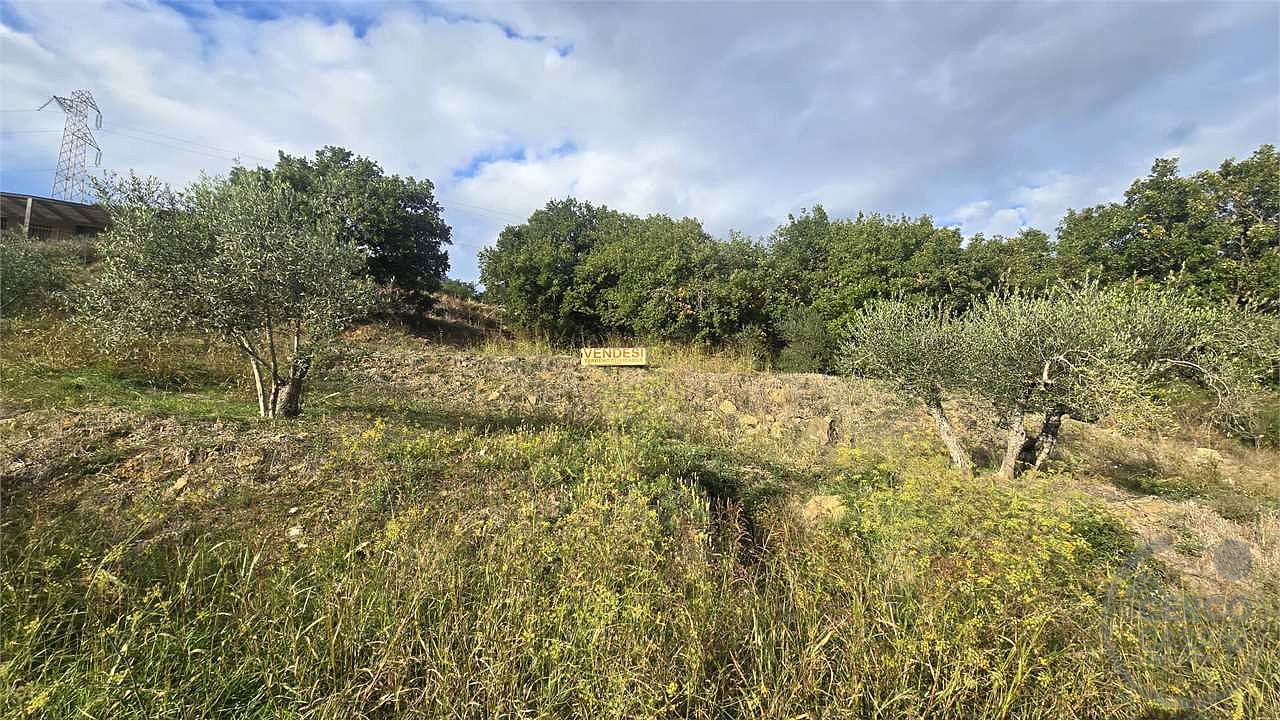 Terreno edificabile in vendita Tavernelle Panicale