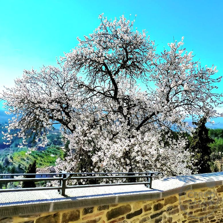 Gestione Ristorante con Bar, Tabaccheria e Mini-Market – Monte Santa Maria Tiberina (PG)