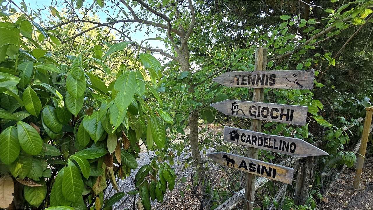 Casolari del Cardellino due unità indipendenti già suddivise Magione Umbria