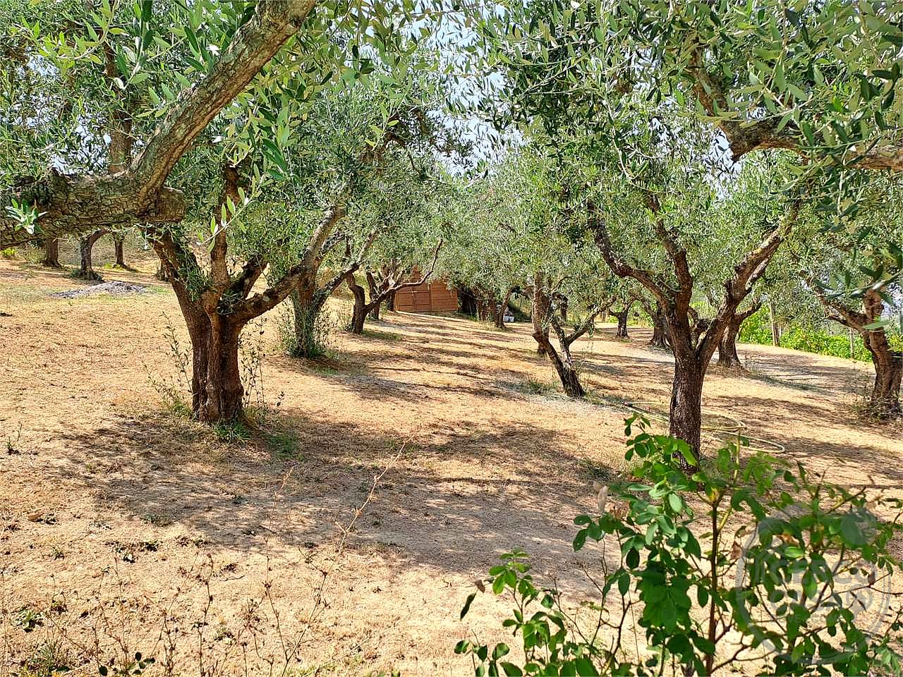 Elegante porzione di villa bifamiliare con piscina, uliveto e vista panoramica