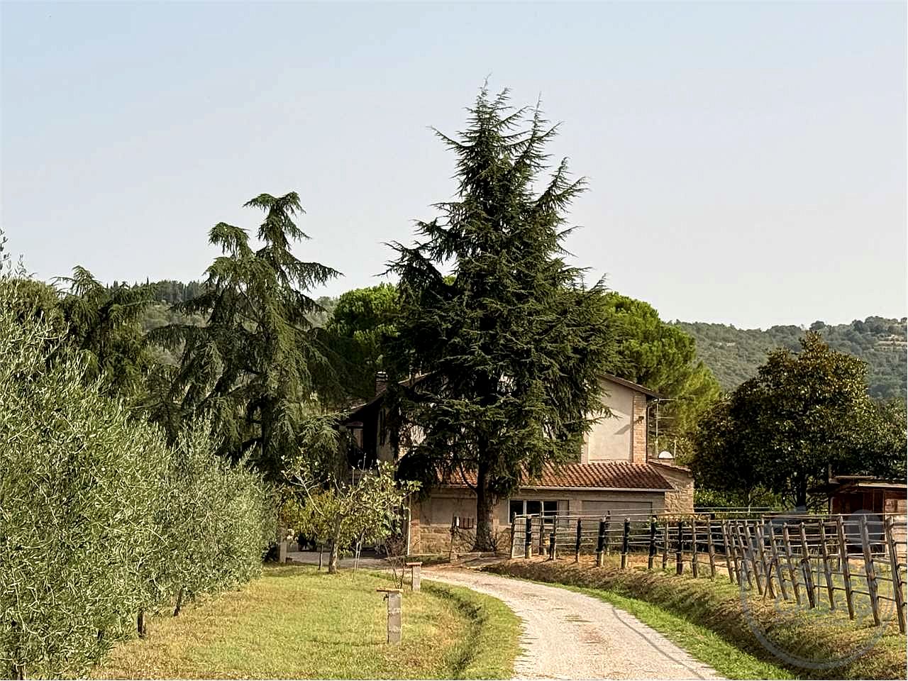 PORZIONE DI CASALE CON TERRENO E OLIVI