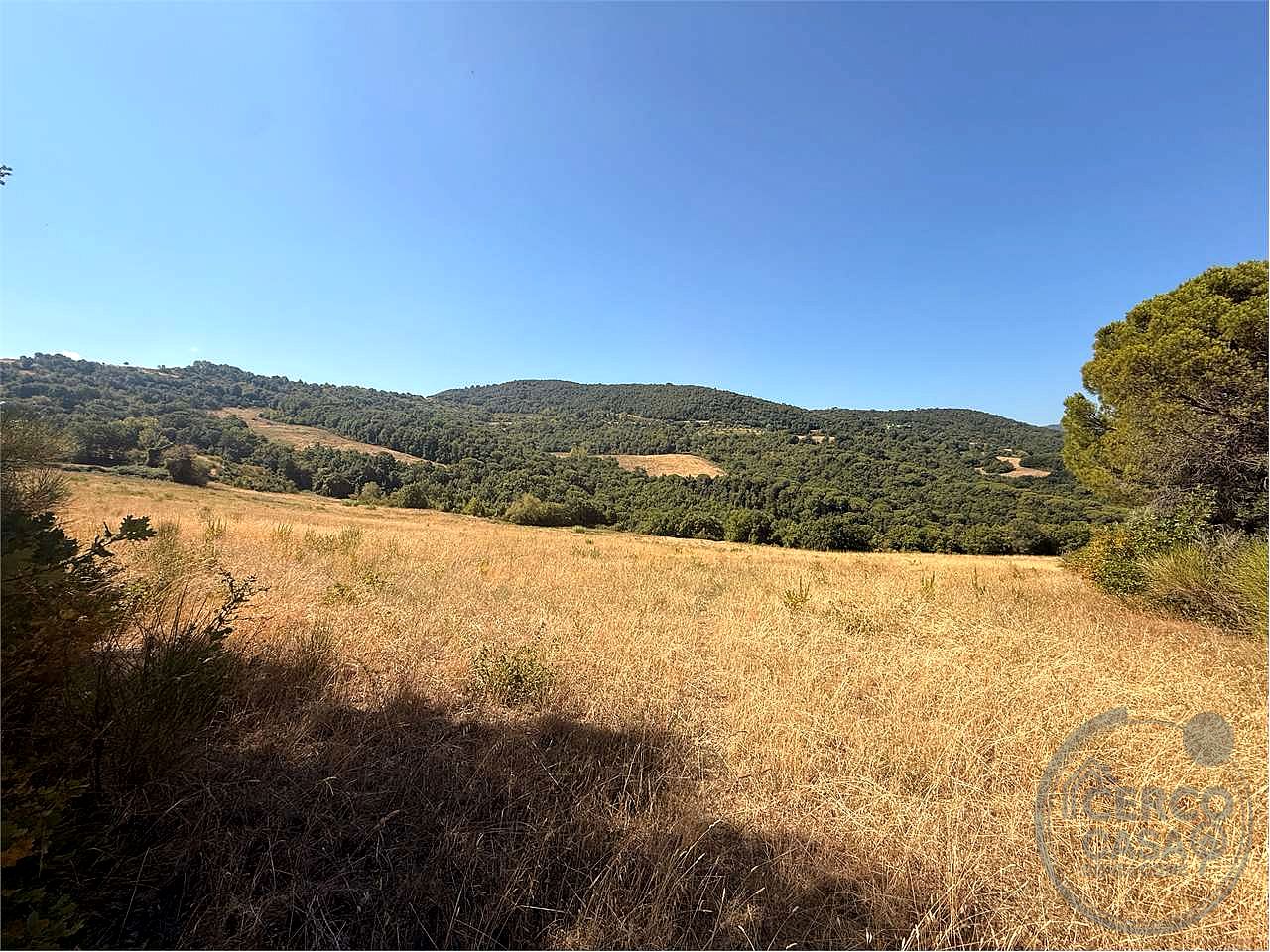 Terreno agricolo di circa 26 ettari