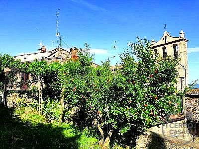 BILOCALE VENDITA MAGIONE
