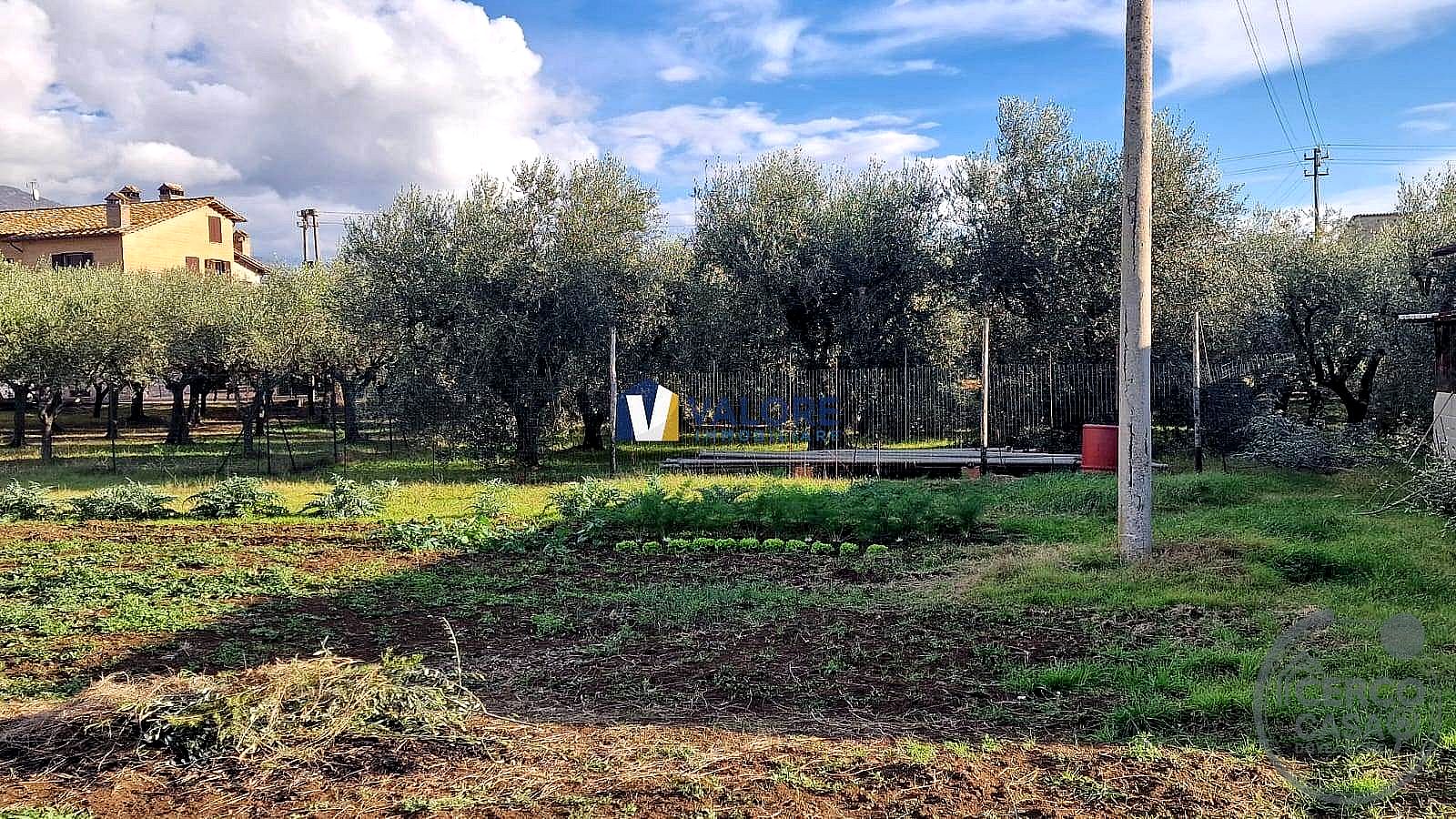 TERRENO EDIFICABILE VENDITA ASSISI SANTA MARIA DEGLI ANGELI · foto 2
