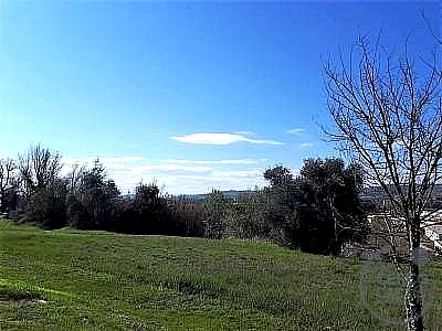 TERRENO EDIFICABILE VENDITA ASSISI SANTA MARIA DEGLI ANGELI · foto 24