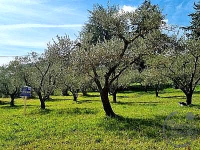 TERRENO EDIFICABILE VENDITA PERUGIA PONTE SAN GIOVANNI · foto 18