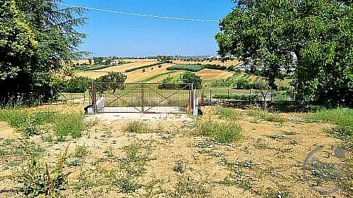 TERRENO EDIFICABILE VENDITA PERUGIA CAPANNE · foto 20