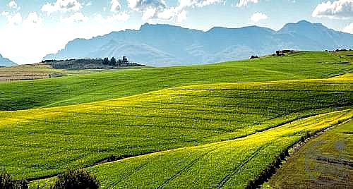 TERRENO EDIFICABILE VENDITA PERUGIA CAPANNE · foto 25