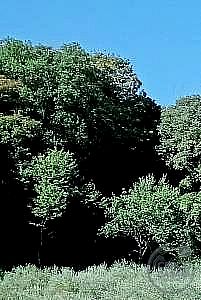VILLA VENDITA SPOLETO · foto 6